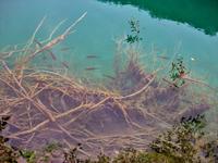 Nationalpark Plitvice