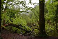 083 NP Plitvicer Seen