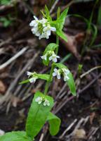 092 NP Plitvicer Seen