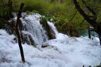 094 NP Plitvicer Seen