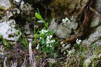 098 NP Plitvicer Seen