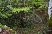 119 NP Plitvicer Seen