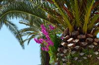 139 Split, Farben an der Riva