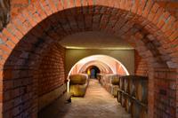 170 Peljesac, Weingut Matusko in Potomje