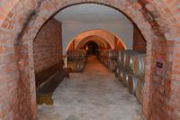 171 Peljesac, Weingut Matusko in Potomje