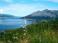 Orebic und Eliasberg