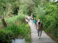 Eberhardt- Reisegruppe im Nationalpark Krka