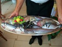 Mittagessen bei Dionis