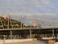 Grenzübergang nach Slovenien