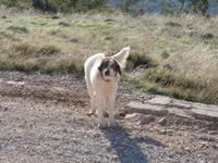 unterwegs zum Mali Alan