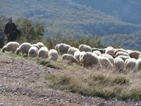 unterwegs zum Mali Alan