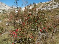 unterwegs am Mali Alan