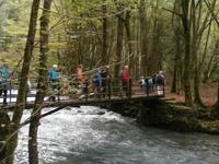 Wanderung Zeleni Vir