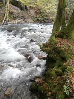 Wanderung Zeleni Vir