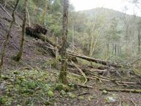 Wanderung Zeleni Vir