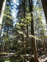 unterwegs auf dem Leska Lehrpfad