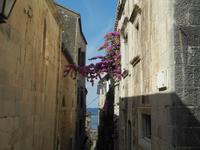 Die Gassen von Korcula