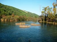 Im Krka- Nationalpark