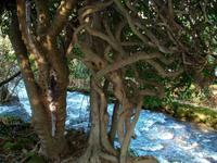 Im Krka- Nationalpark