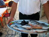 Mittagessen bei Dionis