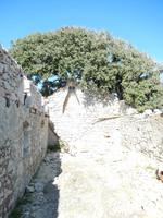 Wanderung über die Insel 