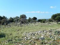 Wanderung über die Insel Plavnik