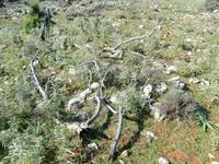 Wanderung über die Insel Plavnik