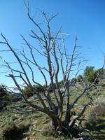 Impressionen auf Plavnik