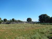 Impressionen auf Plavnik