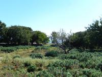 Impressionen auf Plavnik