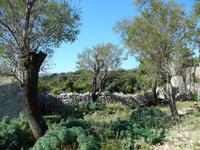 Impressionen auf Plavnik