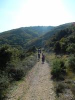 Das Wandern ist des Müllerslust (2)