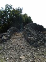 Wanderung durch den Olivenhain