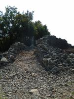 Wanderung durch den Olivenhain