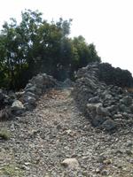 Wanderung durch den Olivenhain (6)