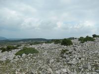 Impressionen von Veli Vrh