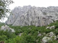 Anica Kuk