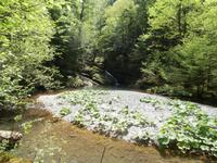 Ausflug Zeleni Vir