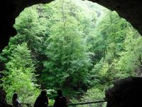 Bick aus der Höhle