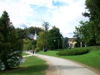 Bled 