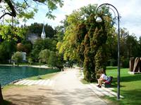 Bled 
