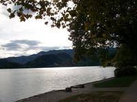 Bled 