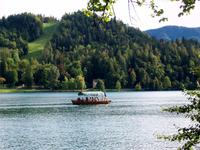 Bled 