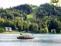 Bled 