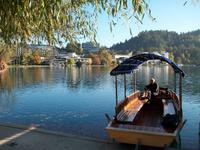 Bled