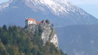 Bled