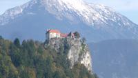 Bled