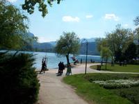 Bled