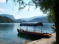 Bled