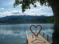 Bled